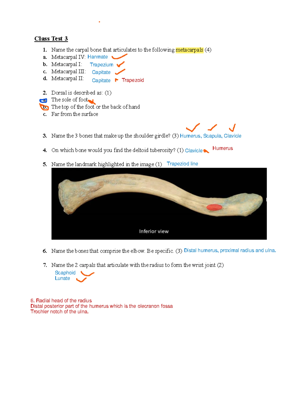 ANA122 Lower Limb and Foot Anatomy Worksheet - Studocu