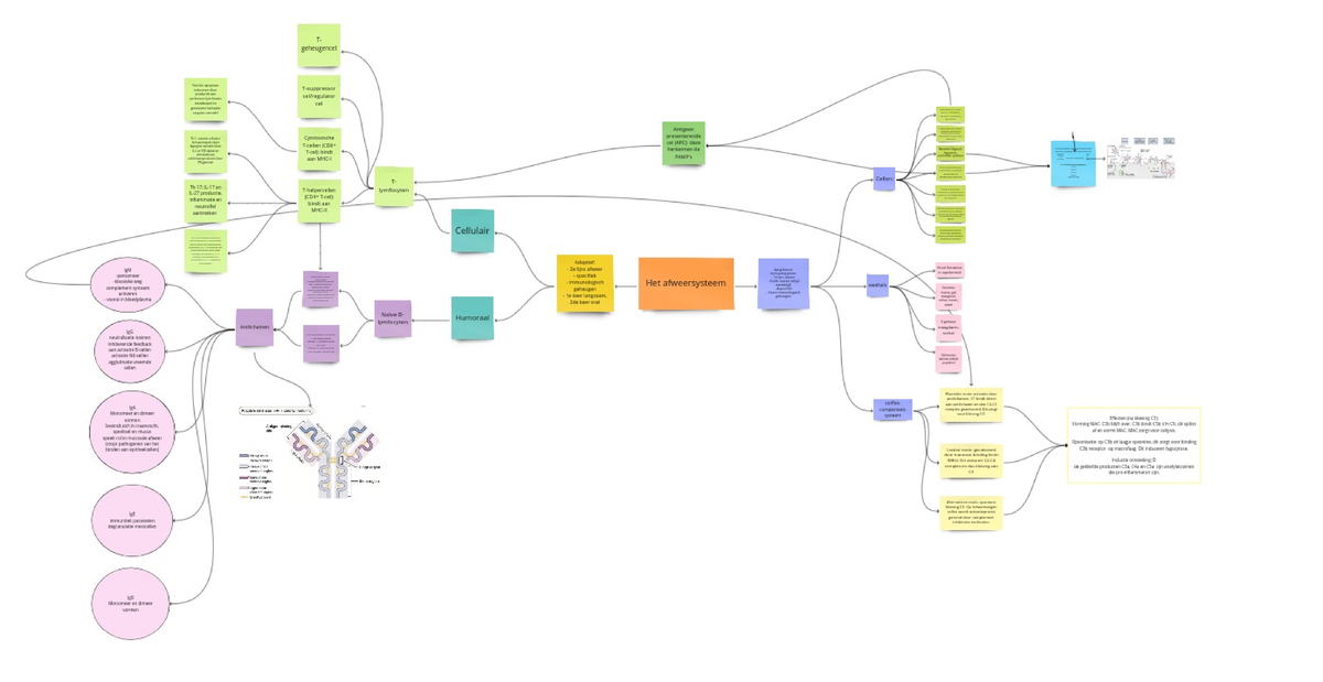 Conceptmap afweer - Verteer en Verweer I - Studeersnel