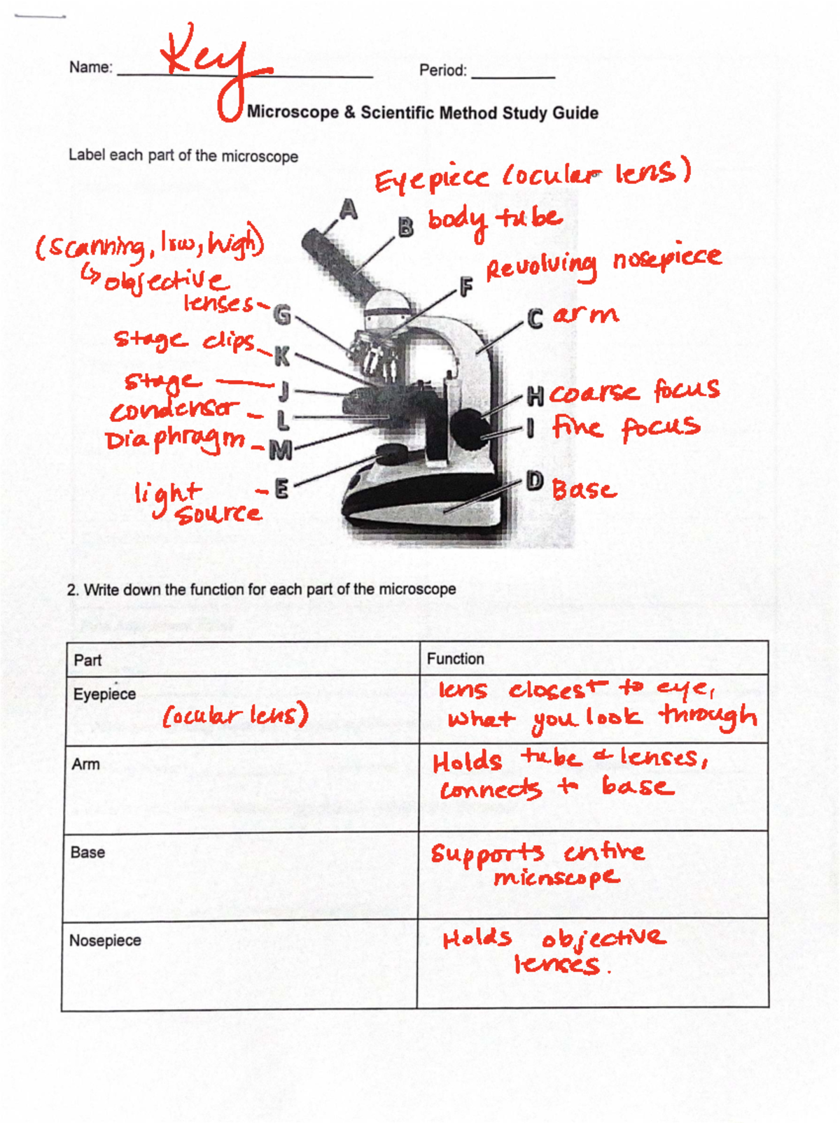 Microscope Basics: Structure, Function & Experimentation Guide - Studocu