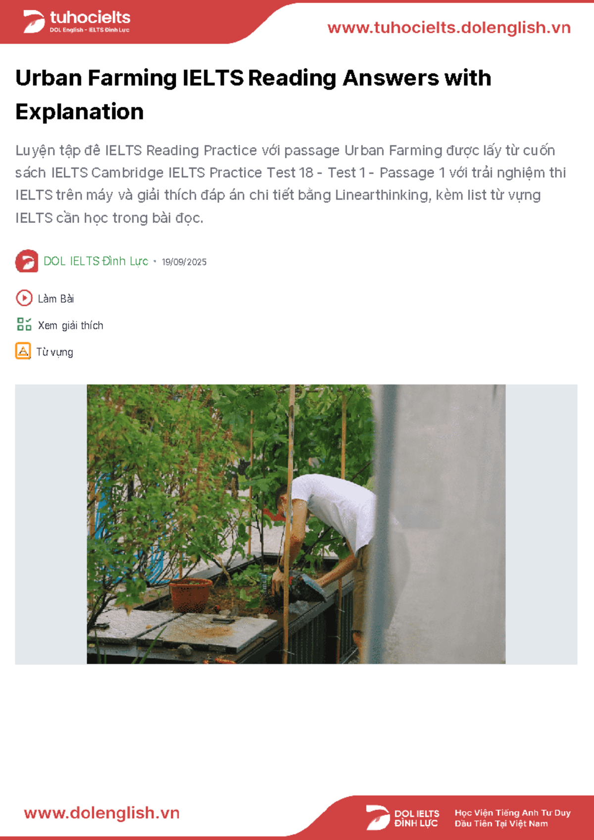 Urban farming ielts reading answers vocabulary insights studocu