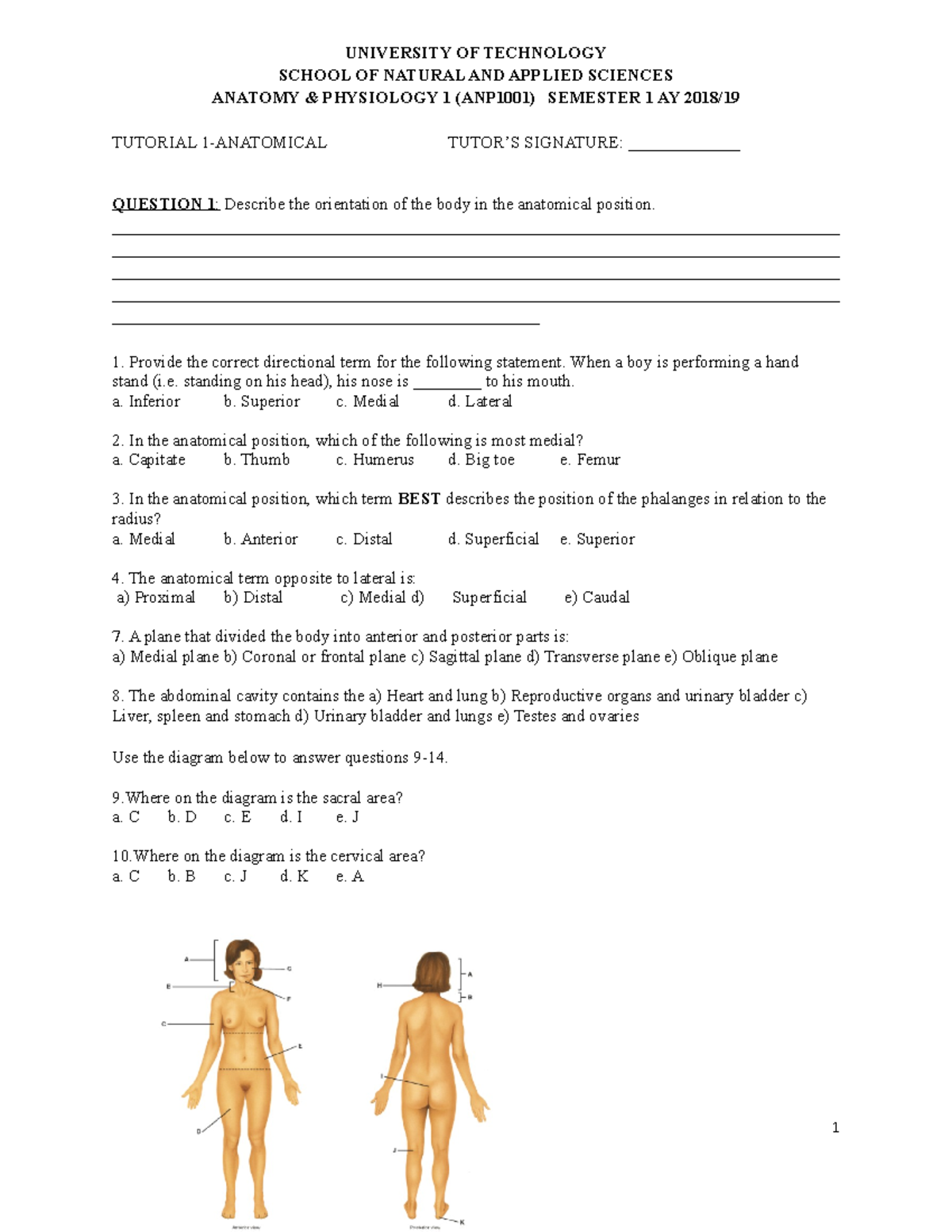 ANP1001 - Tutorial 1: Understanding Anatomical Terms & Orientation ...