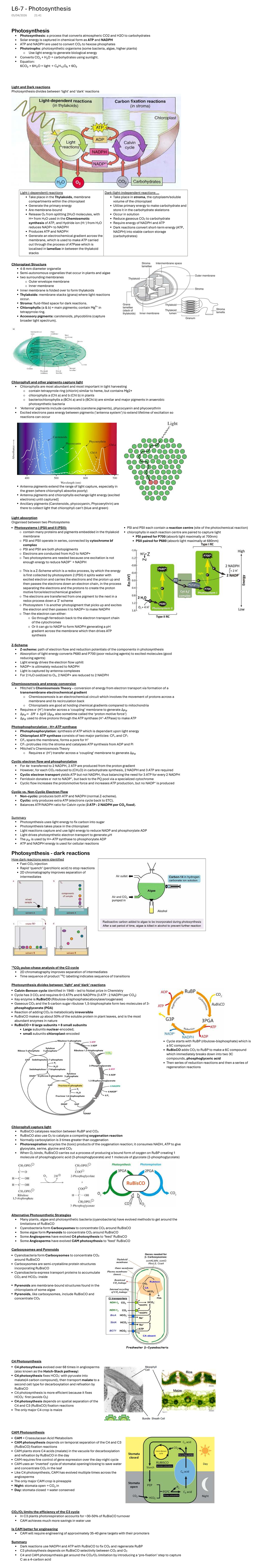 L6-7: Photosynthesis - Biology 1B Lecture Notes - Studocu