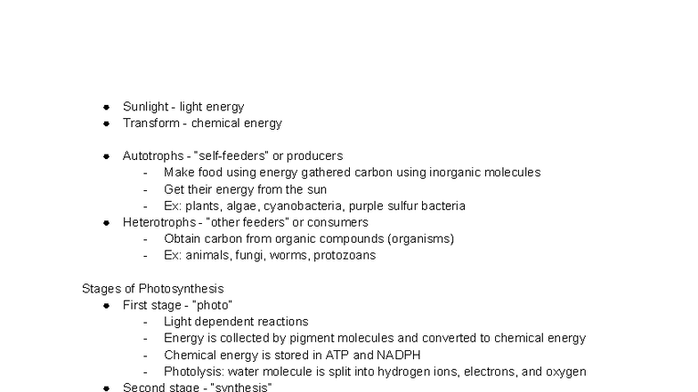 Chapter 6 - Photosynthesis Overview and Key Concepts for Test - Studocu