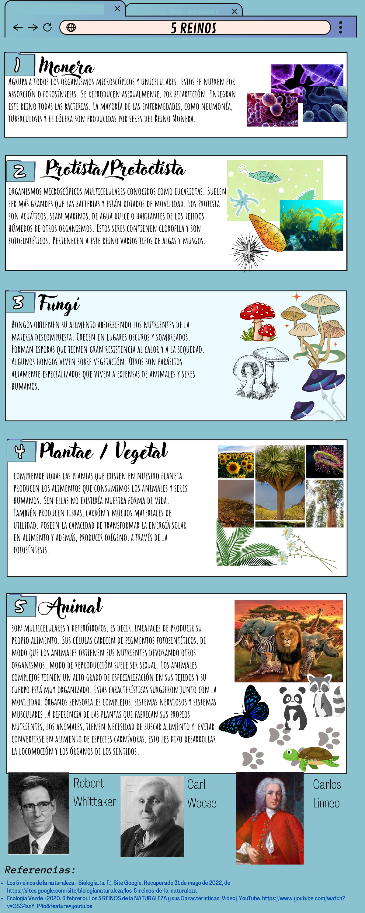 Infografía sobre los 5 Reinos de la Naturaleza en Biología - Studocu