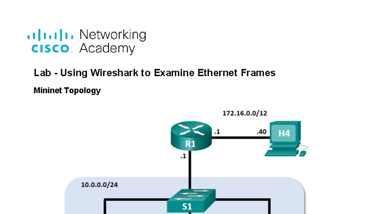 Lab 4: Analyzing Ethernet Frames with Wireshark in Mininet - Studocu