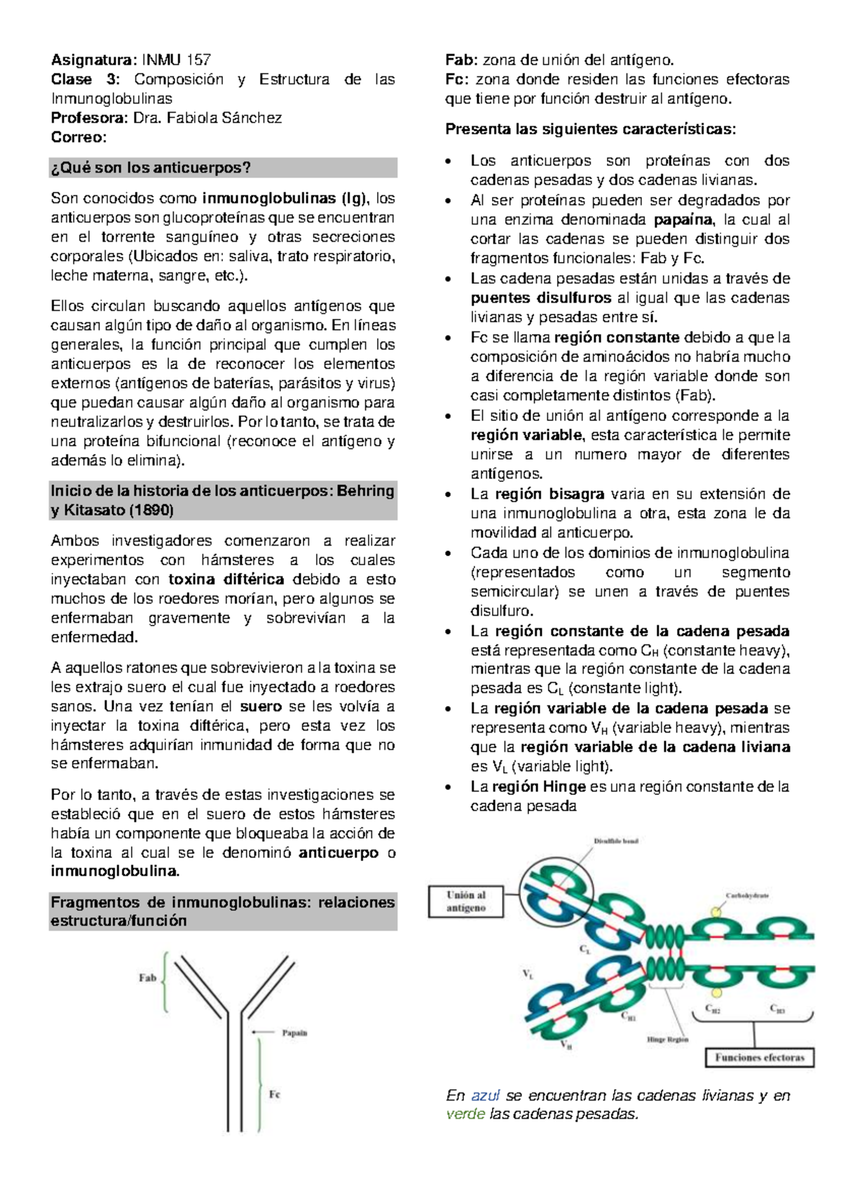 Clase 3 INMU 157: Composición y Estructura de Inmunoglobulinas - Document Preview