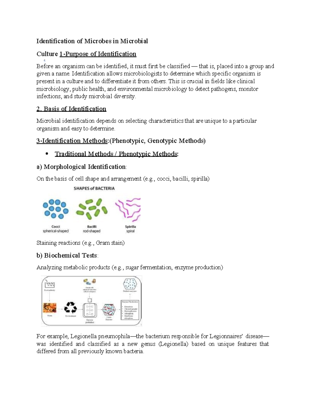 Microbiology Assignment: Identification Methods of Microbial Cultures ...
