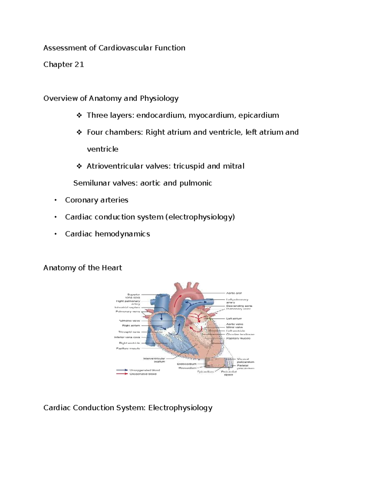 Med Surg 21: Cardiovascular Function Overview and Assessment Notes ...