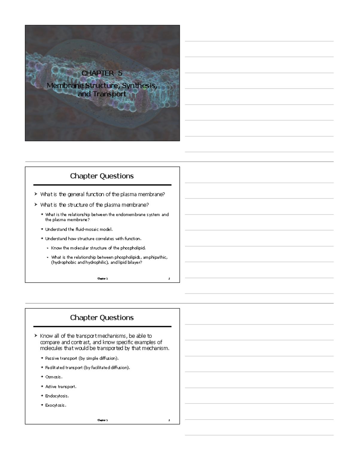 CHAPTER 5 Membrane Structure, Synthesis, and Transport Lecture Notes ...