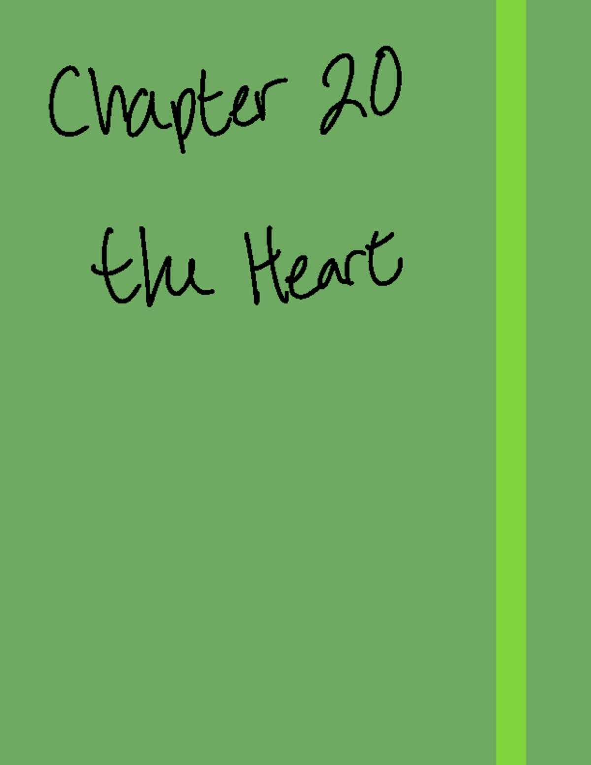Chapter 20 - The Heart: Overview of Cardiovascular Functions - Studocu