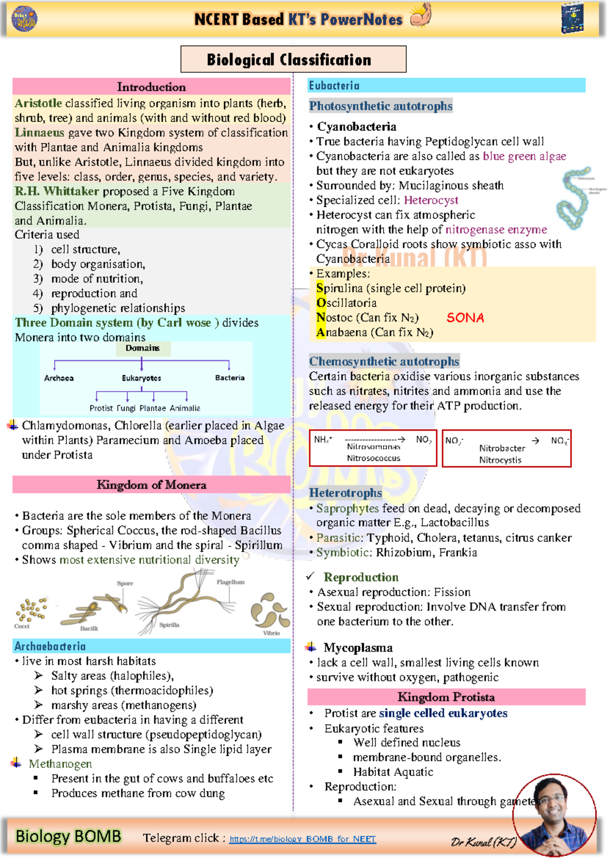 Biological Classification: Understanding the 5 Kingdom Model - Studocu