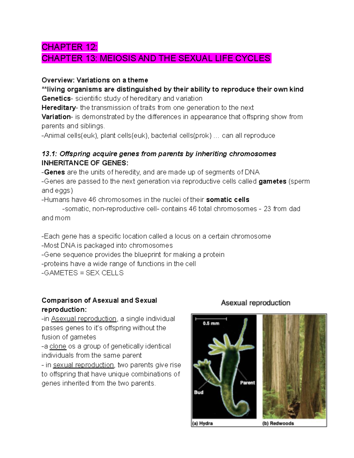 Bio Notes: Genetics Overview and Inheritance Patterns (Ch. 12-15) - Studocu