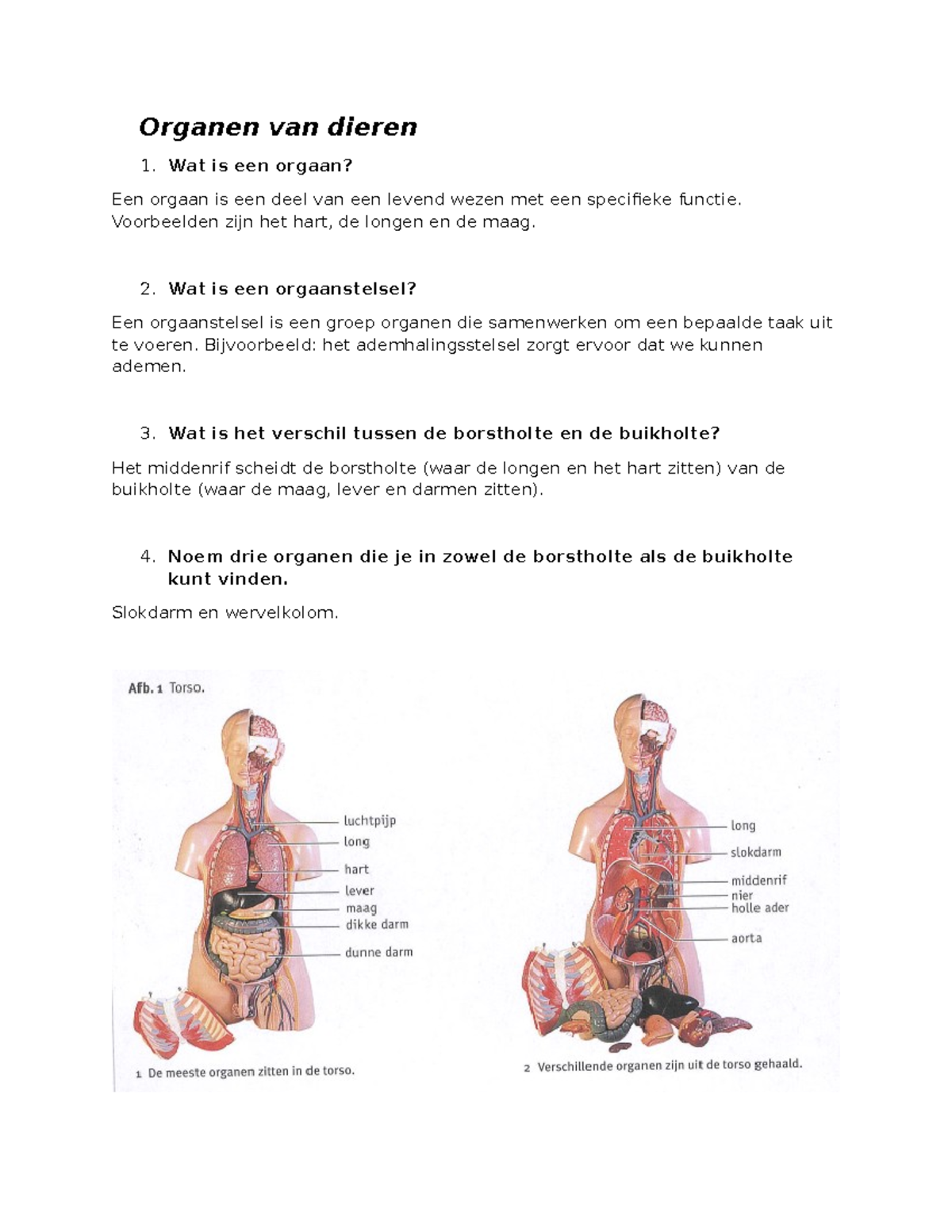 Natuurnotities Monique Smulders: oktober 2018, image size:1200x1553