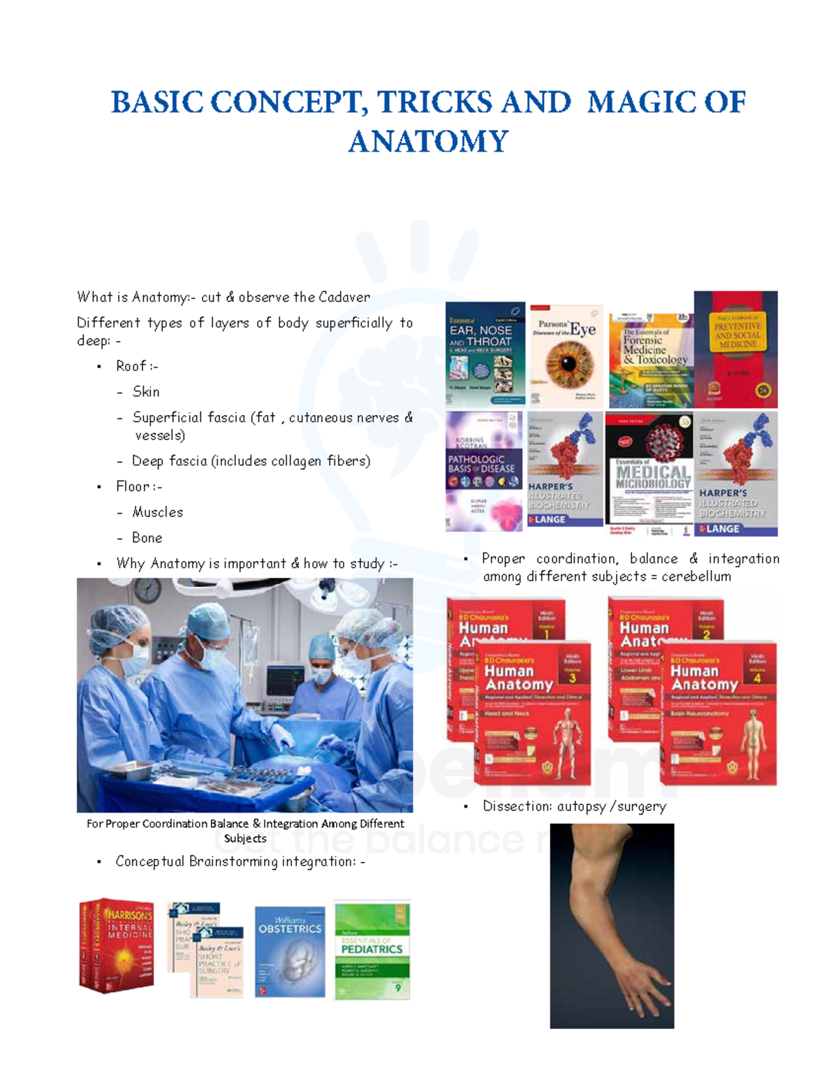 Cerebellum Anatomy Notes - Course Code: Ntg - Studocu