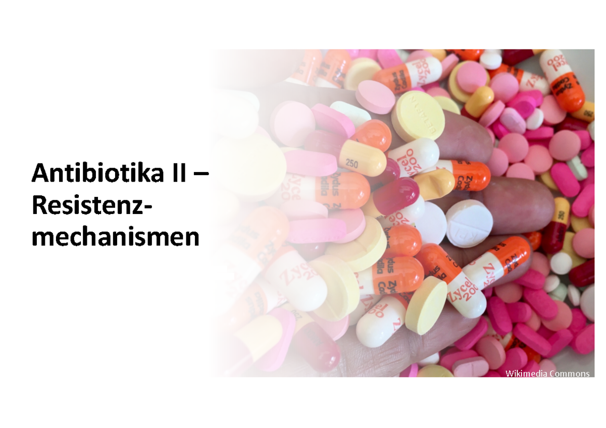 Antibiotika Und Ibu 1