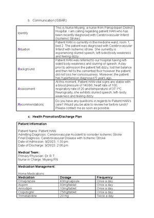 [Solved] Nursing Information System Team a Health care team b ...