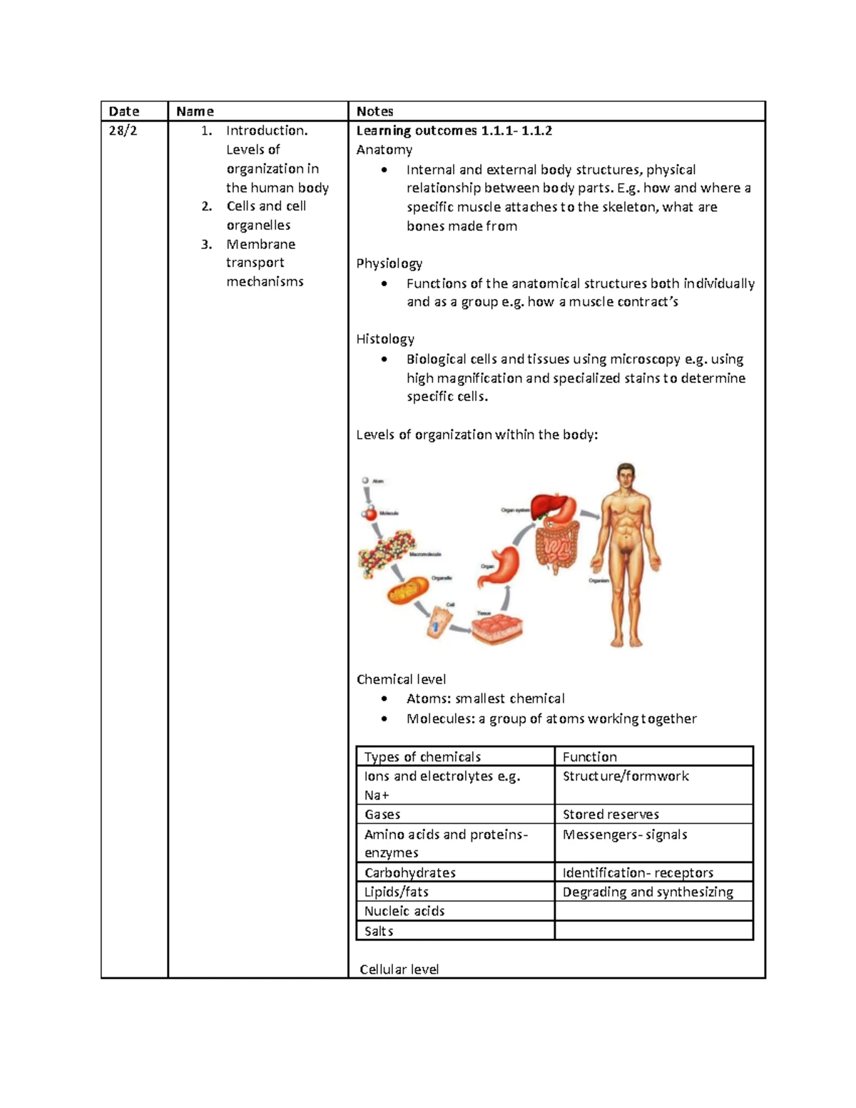 Anatomy Workshop Notes: Week 1 Overview of Anatomical Position & Terms ...