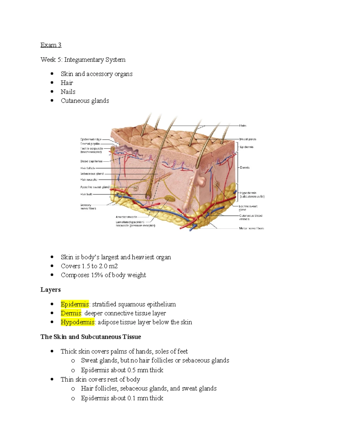 Midterm Study Guide 251 - Chapter 1 Exam Review Be familiar with the ...