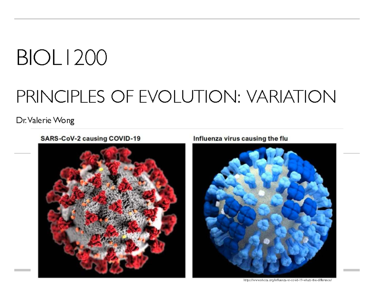 BIOL1200 Lecture: Principles of Evolution and Prokaryotes - Studocu