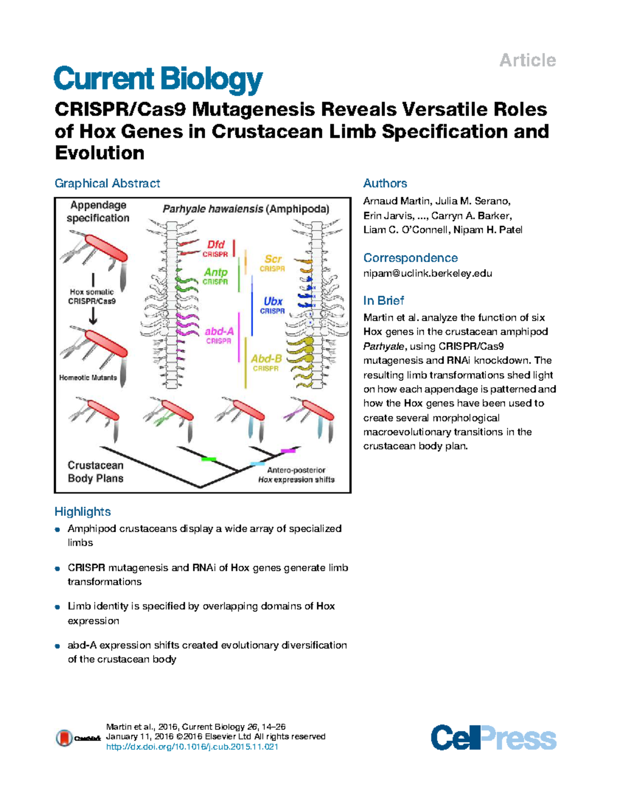 Hox Genes and Limb Evolution in Crustaceans: Insights from CRISPR ...