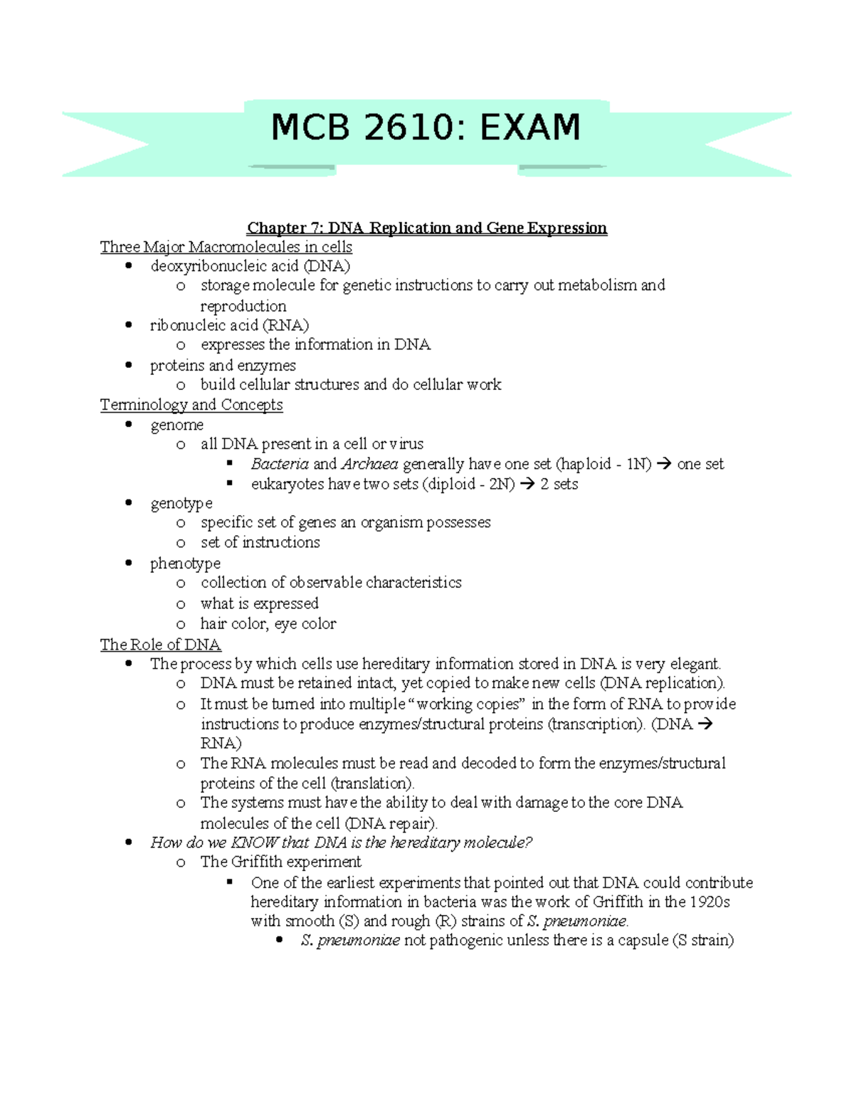 MCB 2610: Exam 4 Notes on DNA Replication & Gene Expression - Studocu