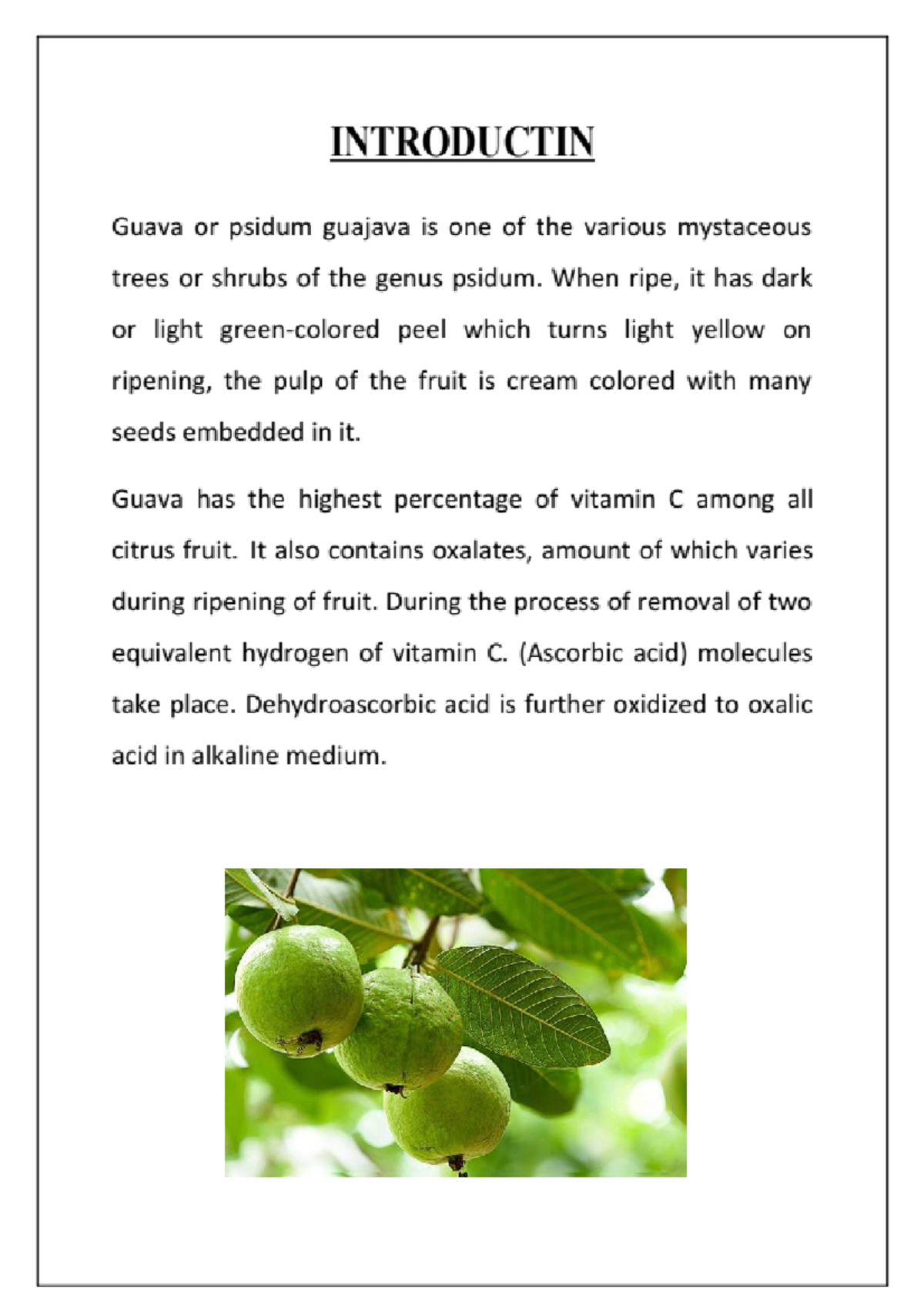 Chemistry Project: Guava (Psidium guajava) Analysis and Benefits - Studocu