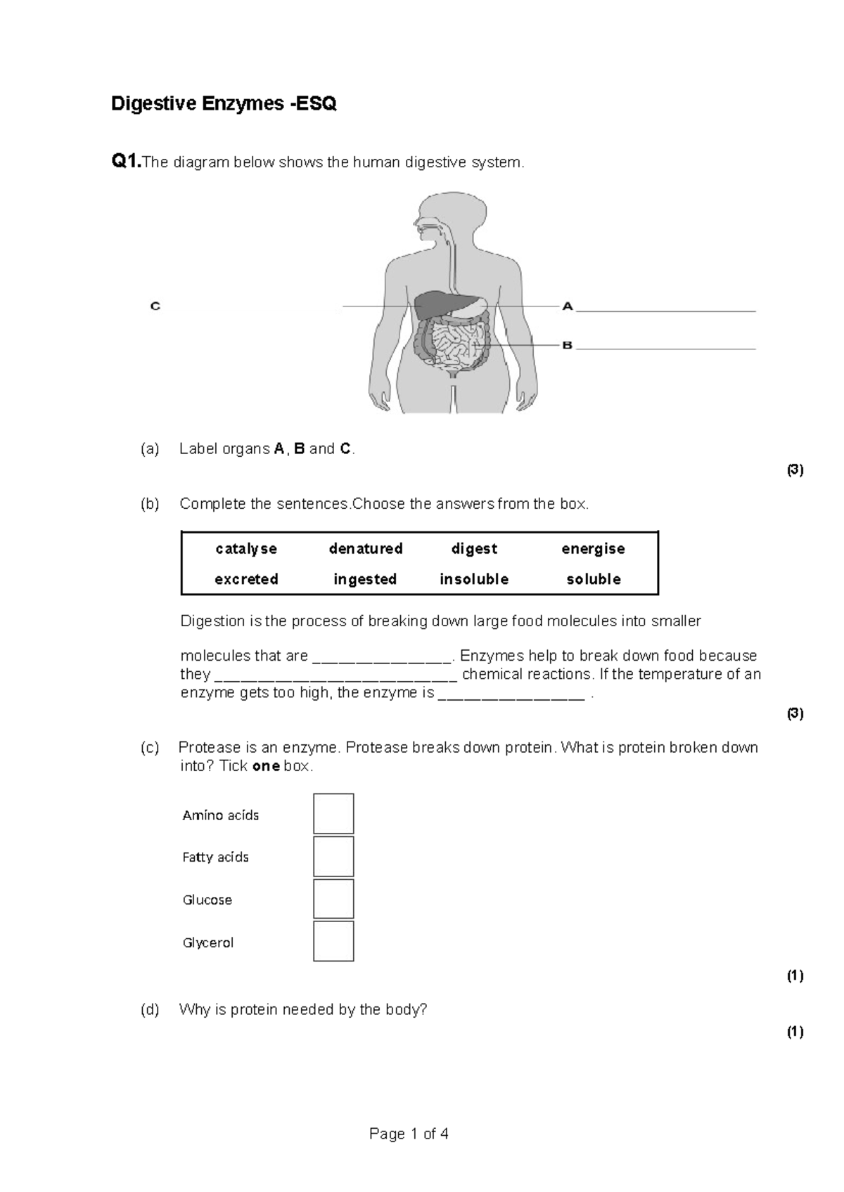 Digestive System Study Notes - Quiz 2023 (ESQ) - Studocu