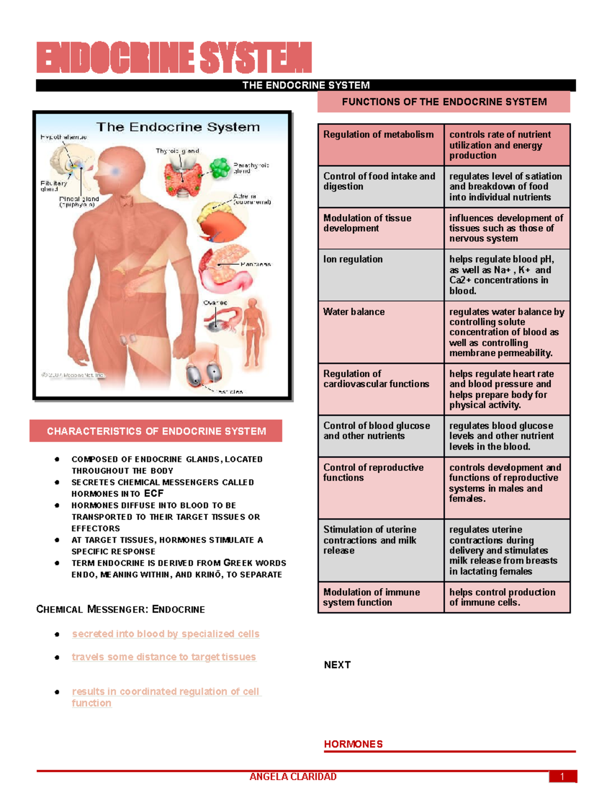 Endocrine System Overview - CH1 Notes for BIO 101 - Studocu