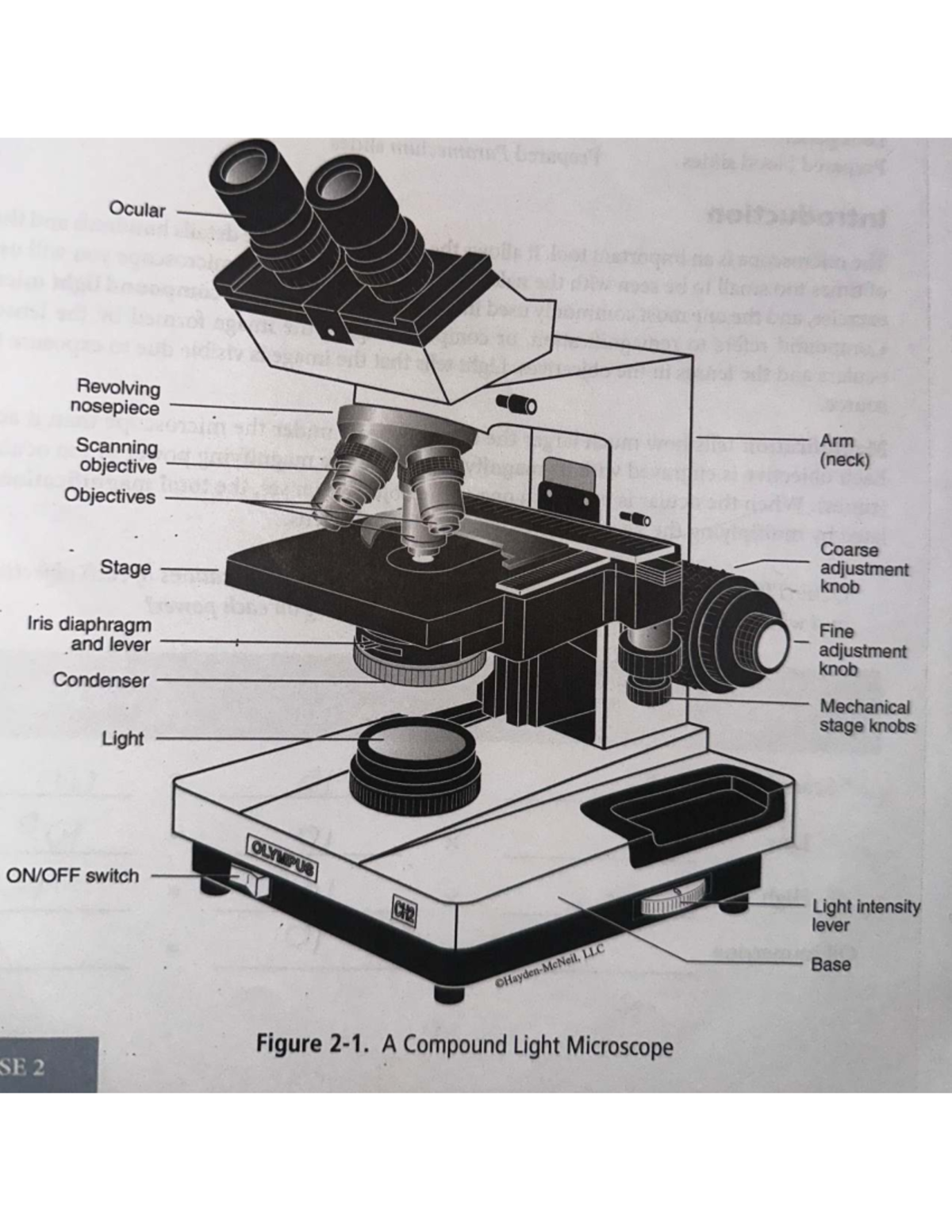 Print - example exam for MAT 1010 - MAT 155 - Ocular 10 Revolving ...