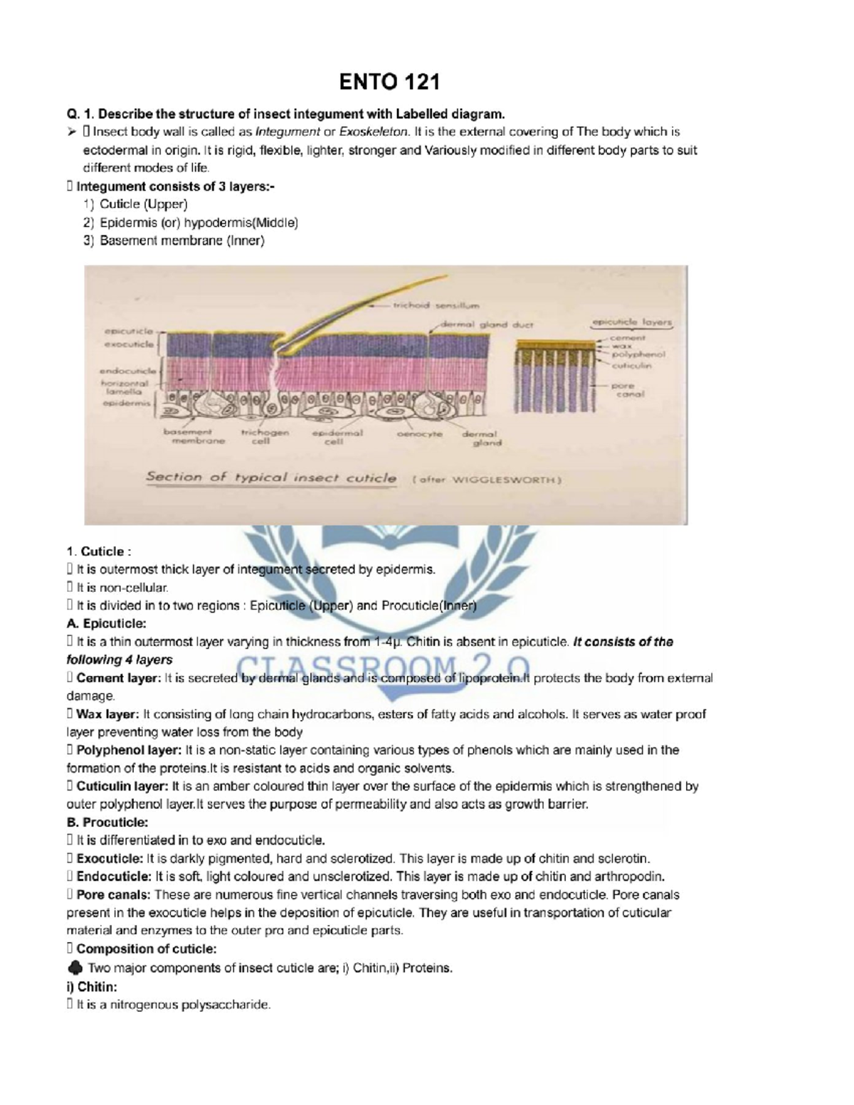 ENTO 121 Q.1: Structure of Insect Integument with Labeled Diagram - Studocu