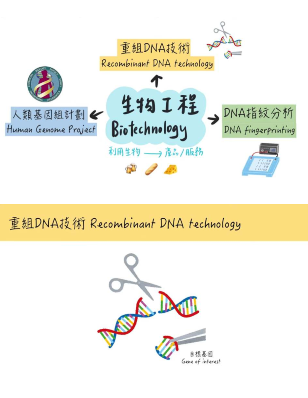 Biotechnology Core: Recombinant DNA Tech & Human Genome Project - Studocu