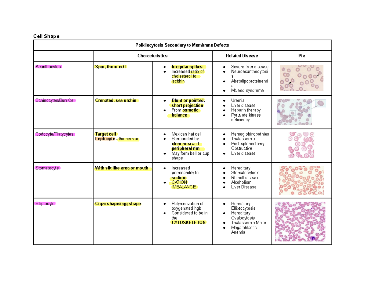 RBC Indices - cell shape - Cell Shape Poikilocytosis Secondary to ...