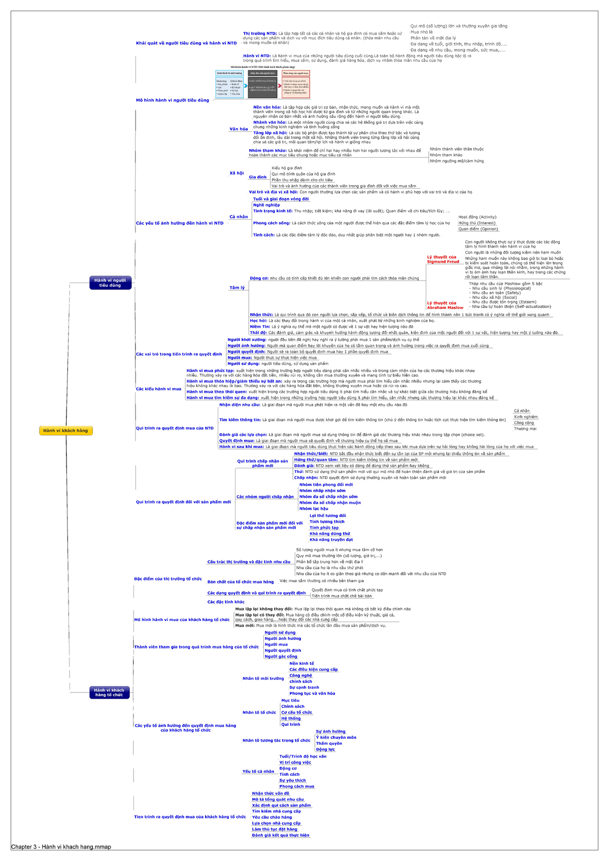 Marketing Mind Map: Hành Vi Khách Hàng - Chapter 3 - Studocu