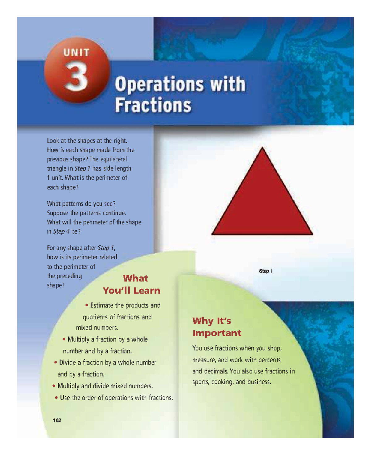 Unit 3 - Operations with Fractions: Understanding Shapes and Perimeters ...