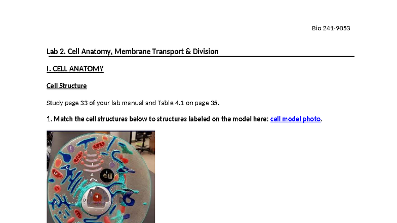 Bio Lab 2: Cell Anatomy, Membrane Transport & Division Notes - Studocu