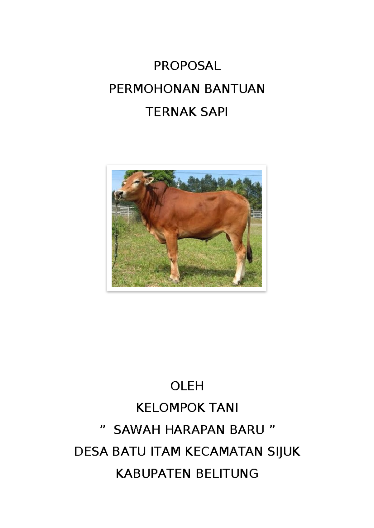 Proposal Permohonan Bantuan Ternak Sapi 2024 - Kelompok Tani SHB - Studocu