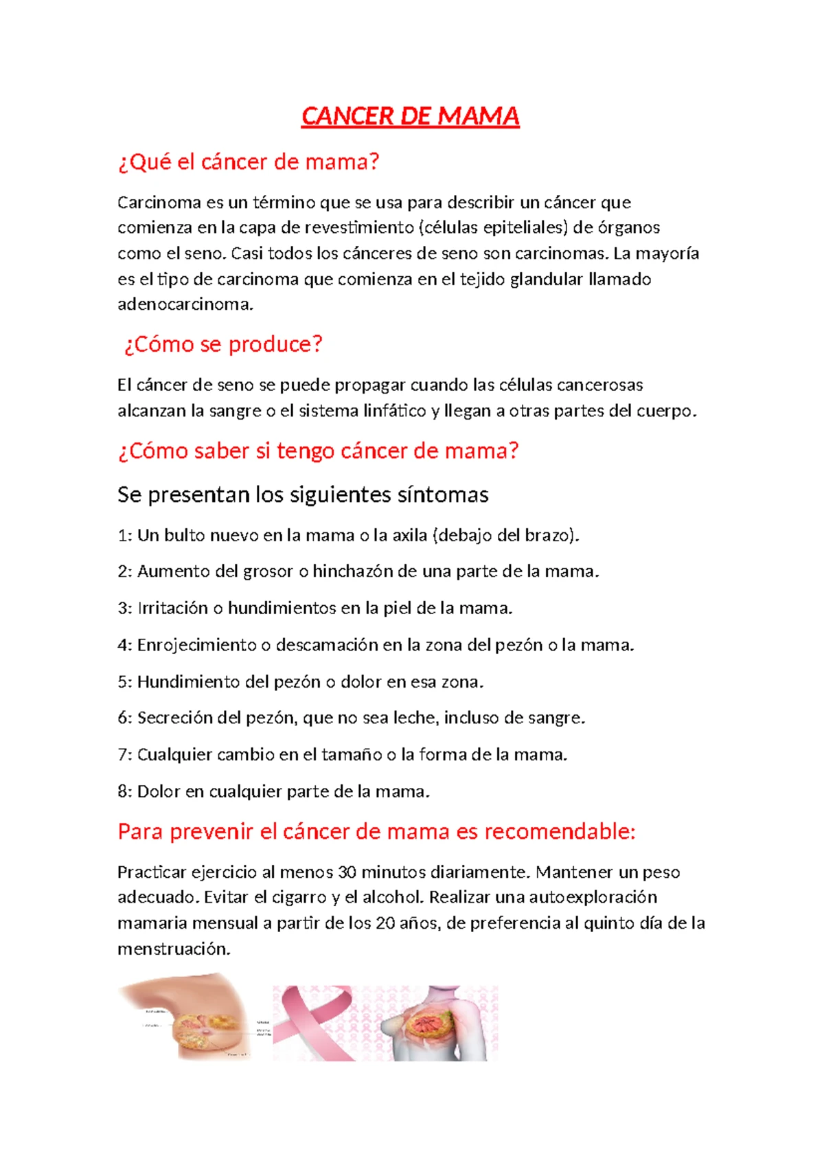 Reino Monera: Características y Clases para Quinto Grado de Primaria -  Studocu