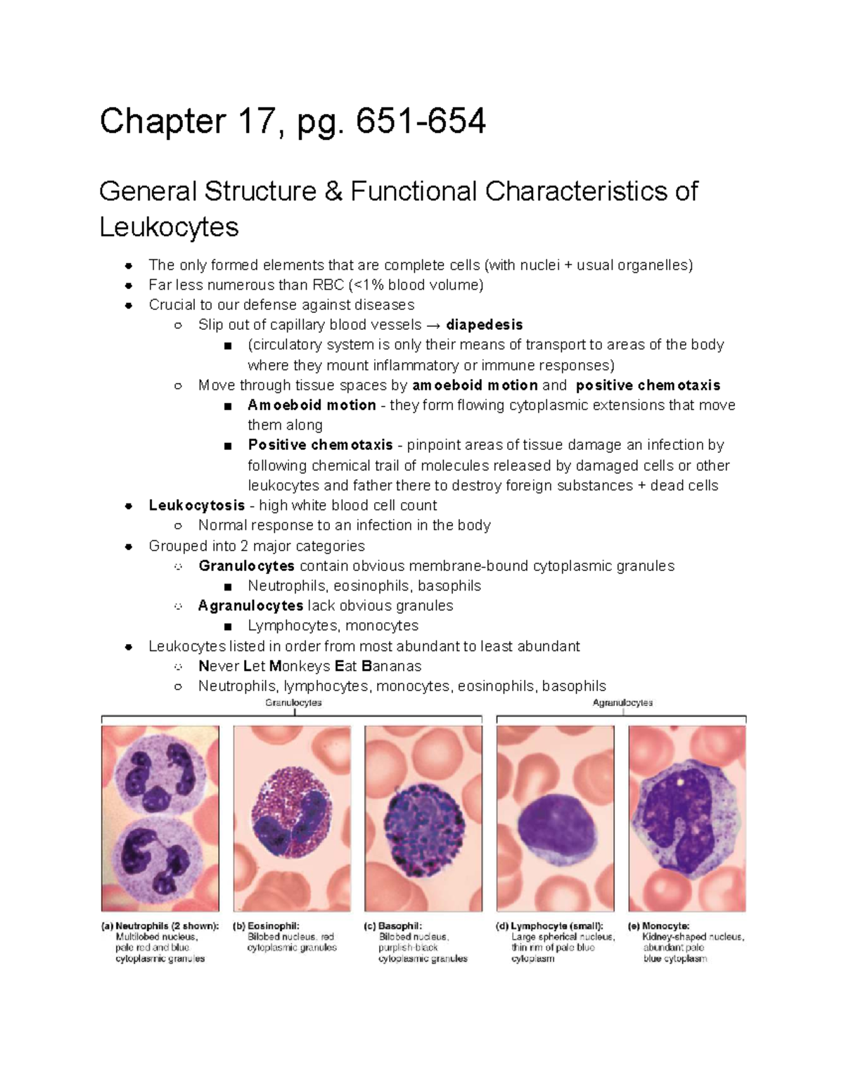 Chapter 17: General Structure and Function of Leukocytes (1107) - Studocu