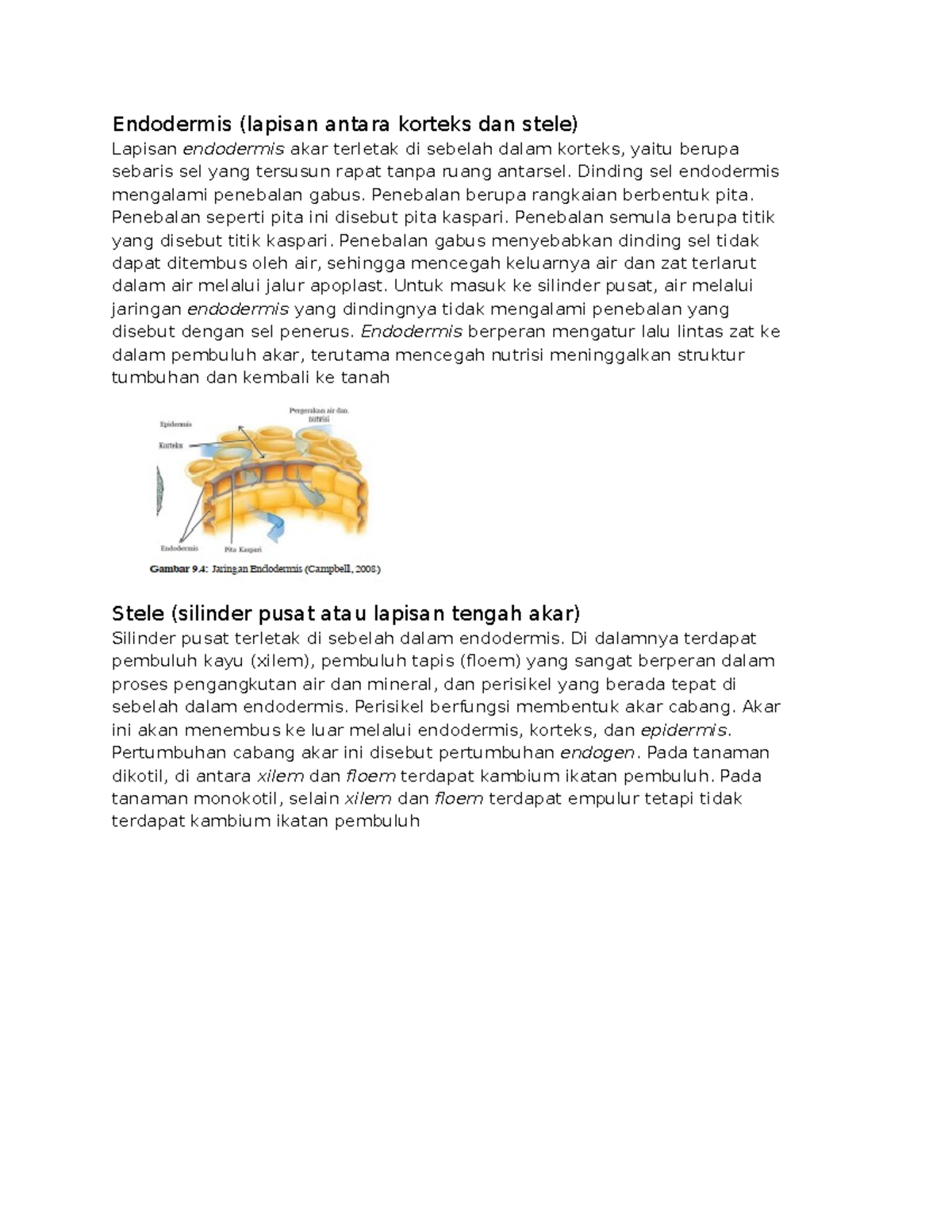 Endodermis dan Stele: Catatan Biologi Akar dan Peranannya - Studocu