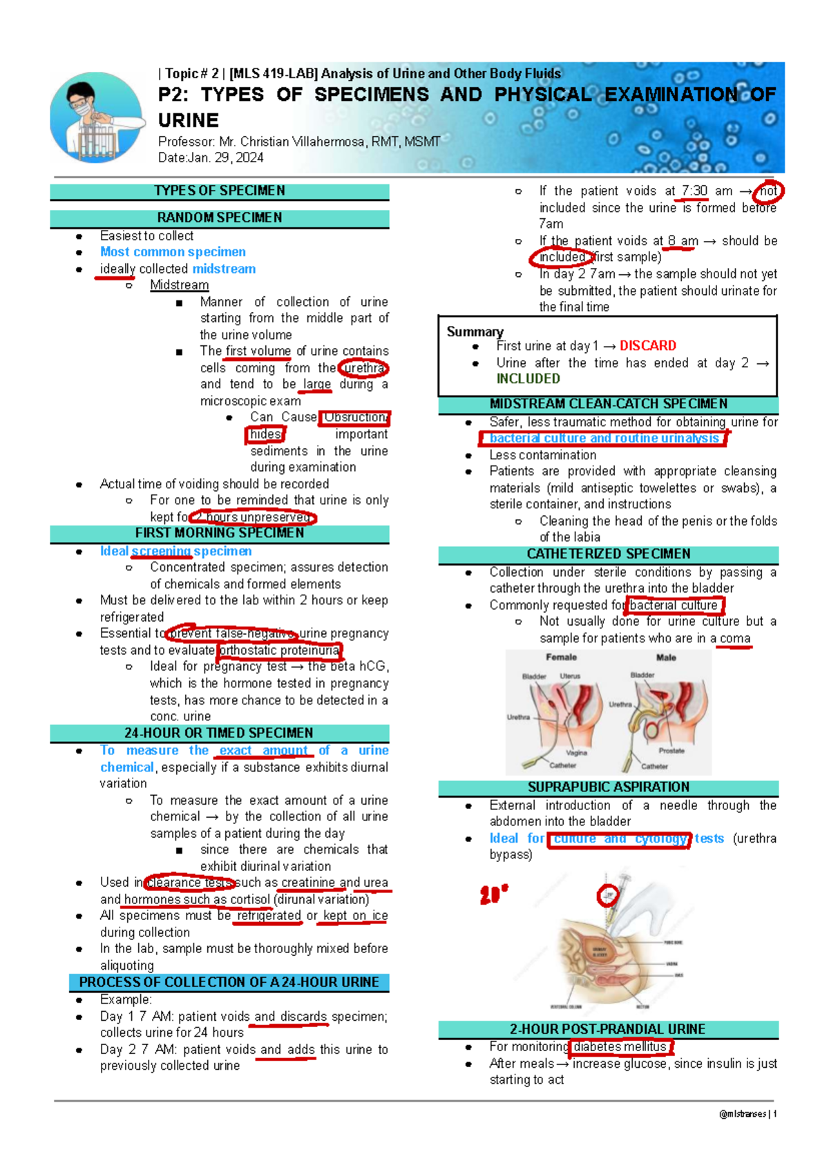 AUBF P2: Types of Specimens & Physical Examination of Urine - Studocu