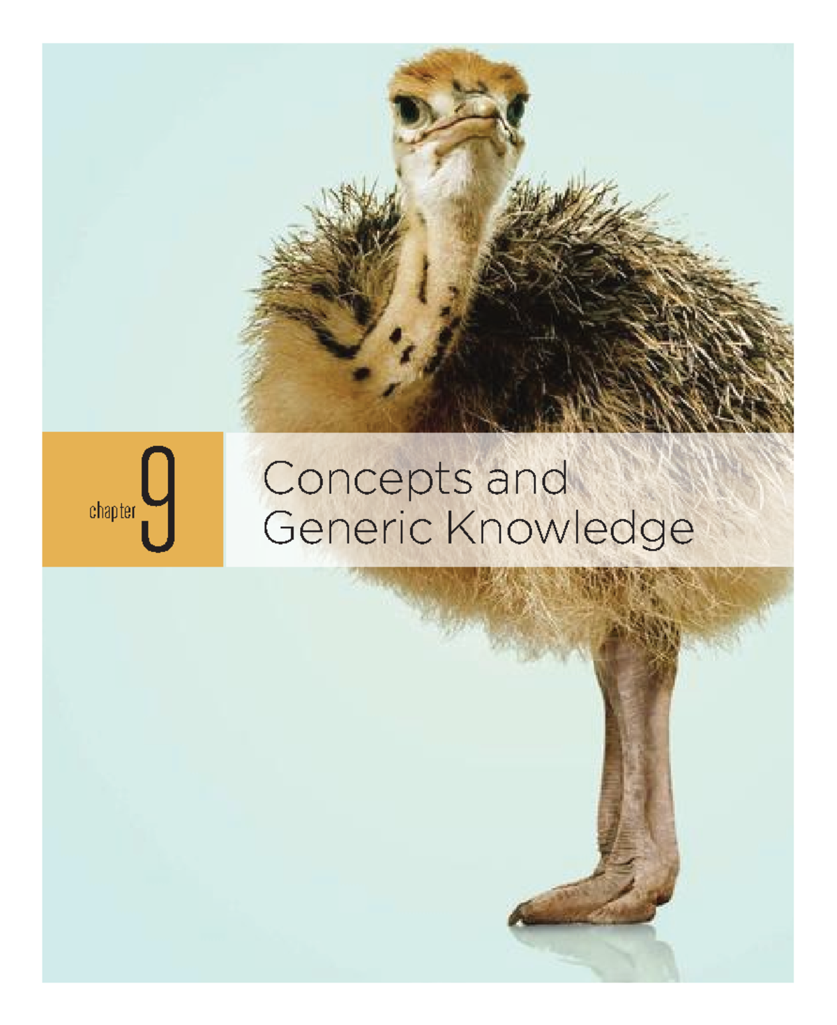 Prototypes and Typicality Effects in Conceptual Knowledge (Chapter 9 ...