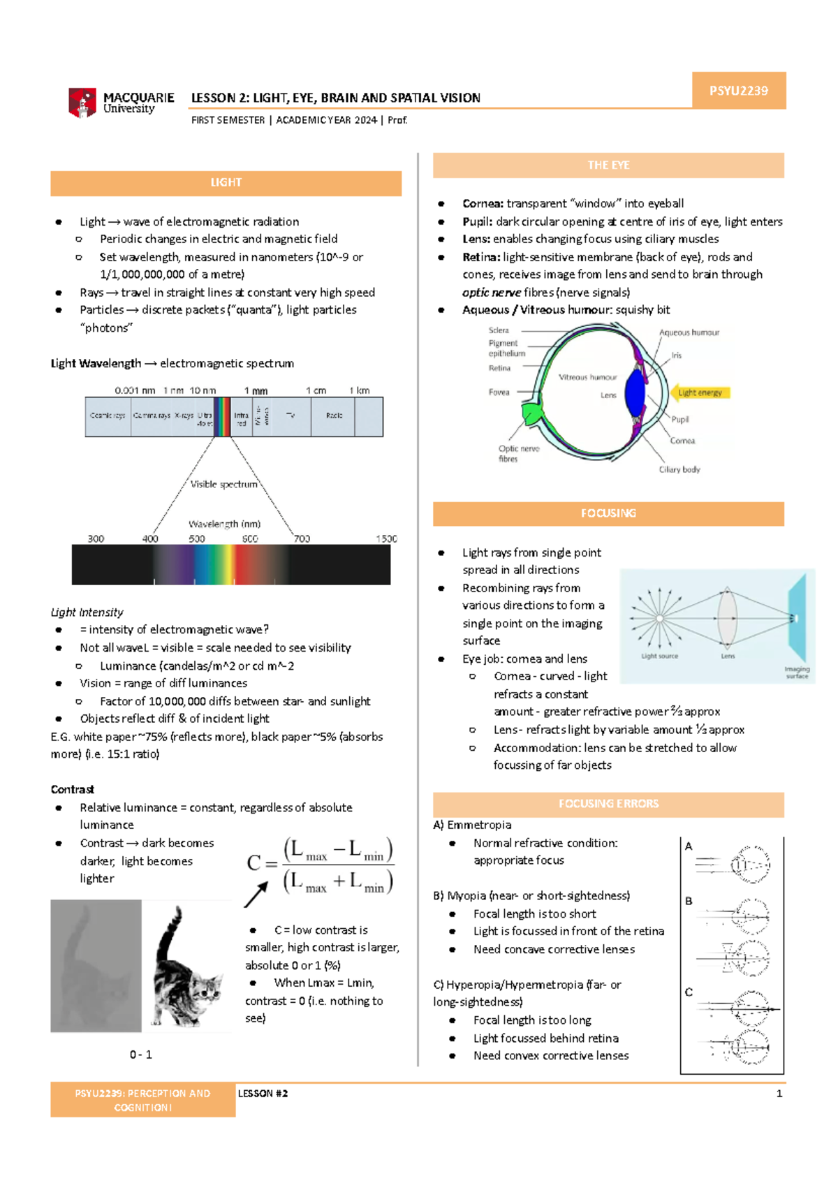 [PSYU 2239] LEC2 - LIGHT, EYE, BRAIN AND SPATIAL VISION - LESSON 2 ...
