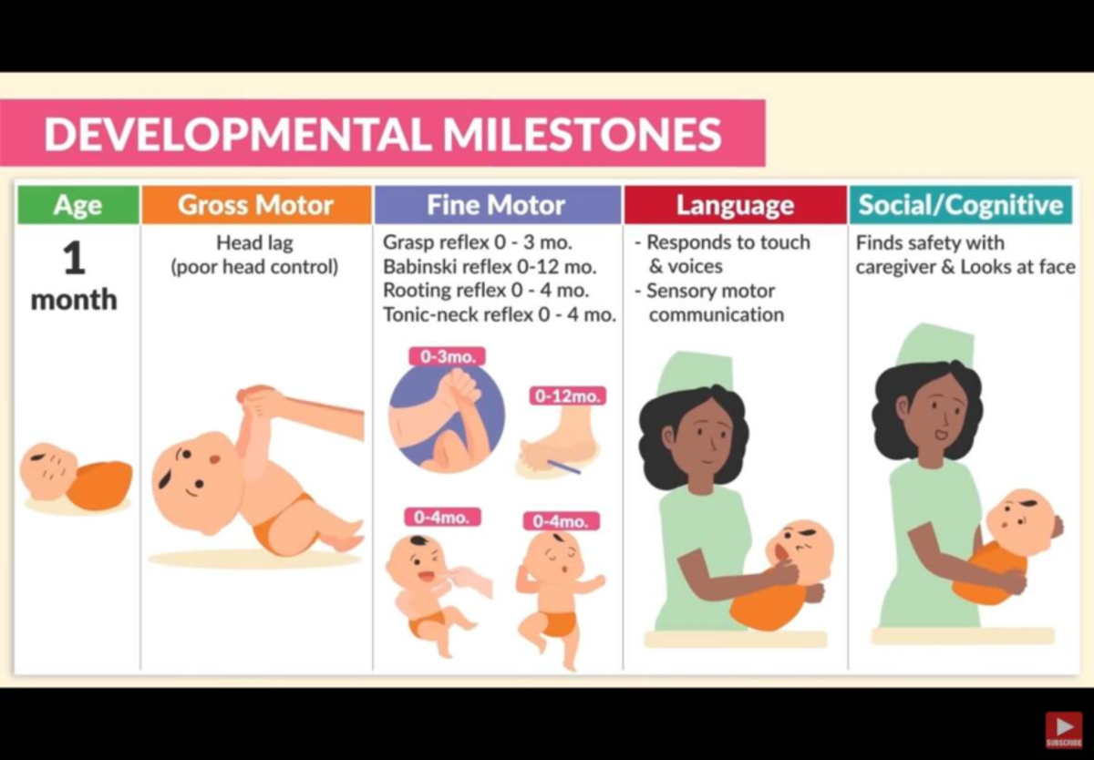 Developmental Milestones Overview: Age-Based Gross & Fine Motor Skills ...