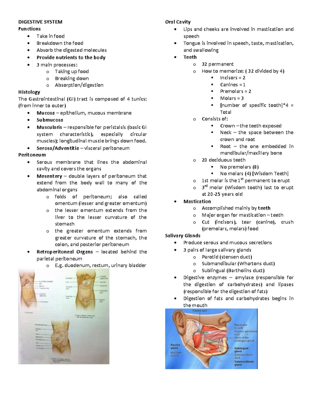 14-Digestive system lecture notes: functions, anatomy, and processes ...