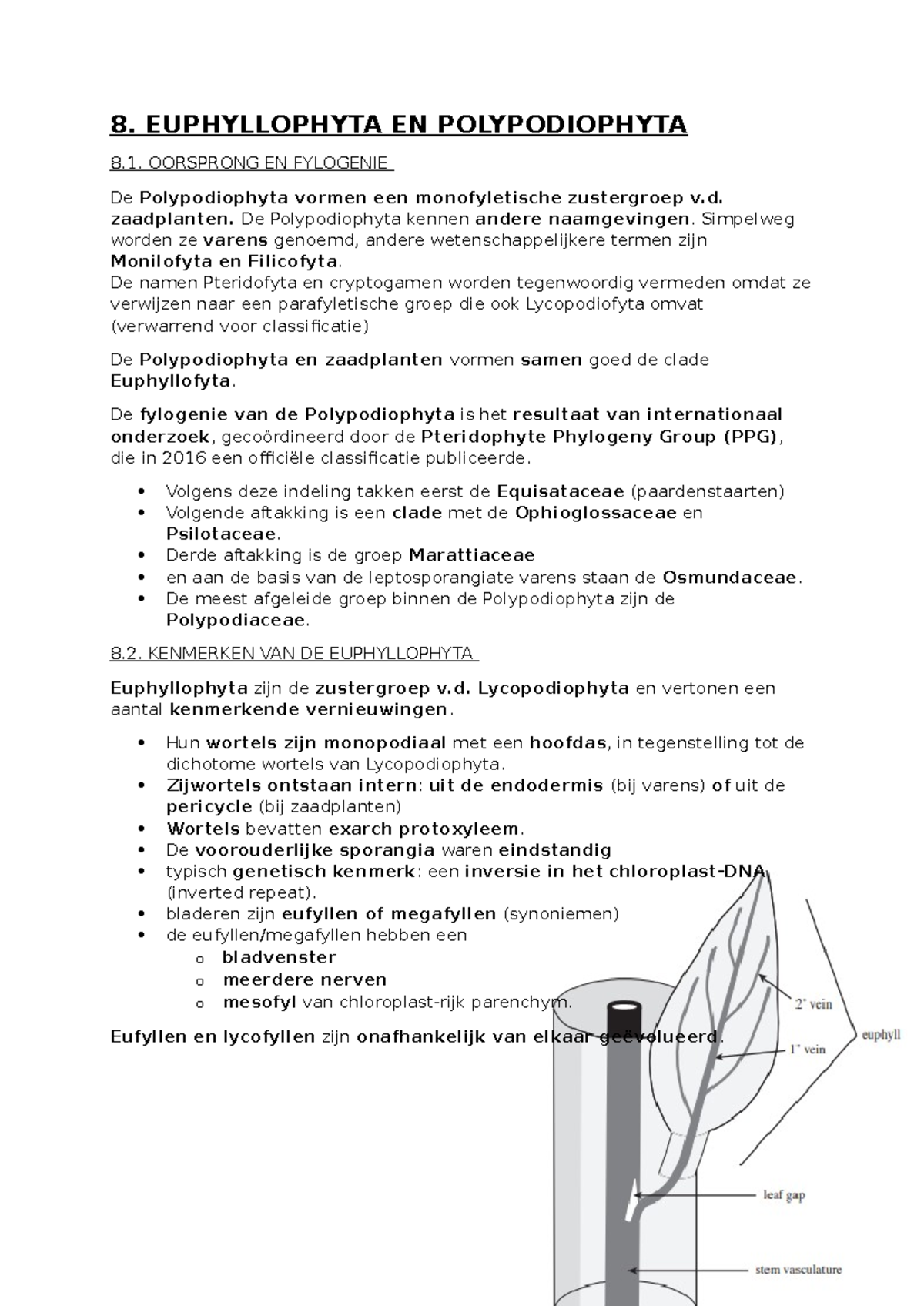Hoofdstuk 8: Euphylophyta en Polypodiophyta - Oorsprong en Kenmerken ...
