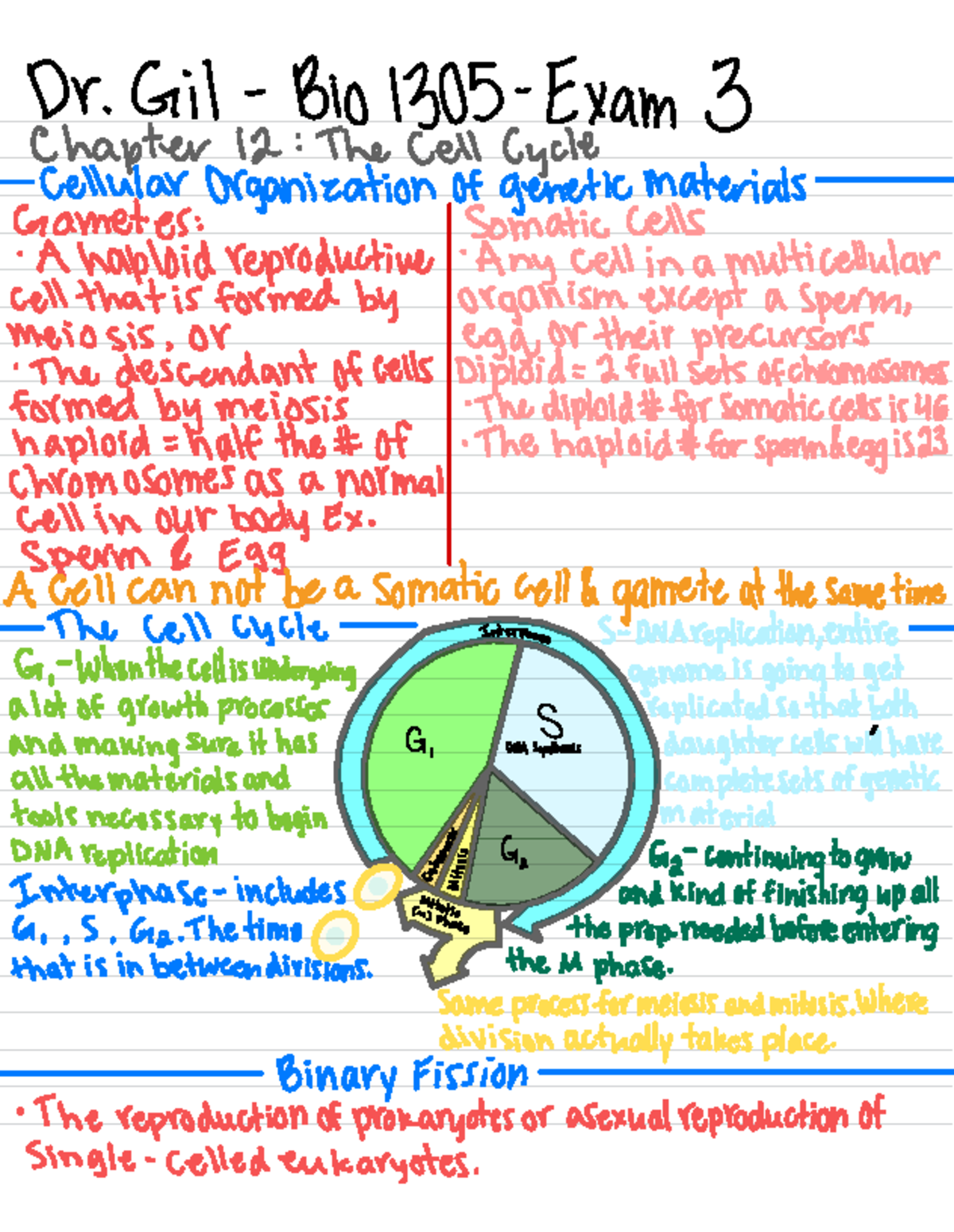 Dr. Gil Bio 1305- Exam 3 Chapter 12 - Dr. Gil Bio 1305. Exam 3 Chapter ...