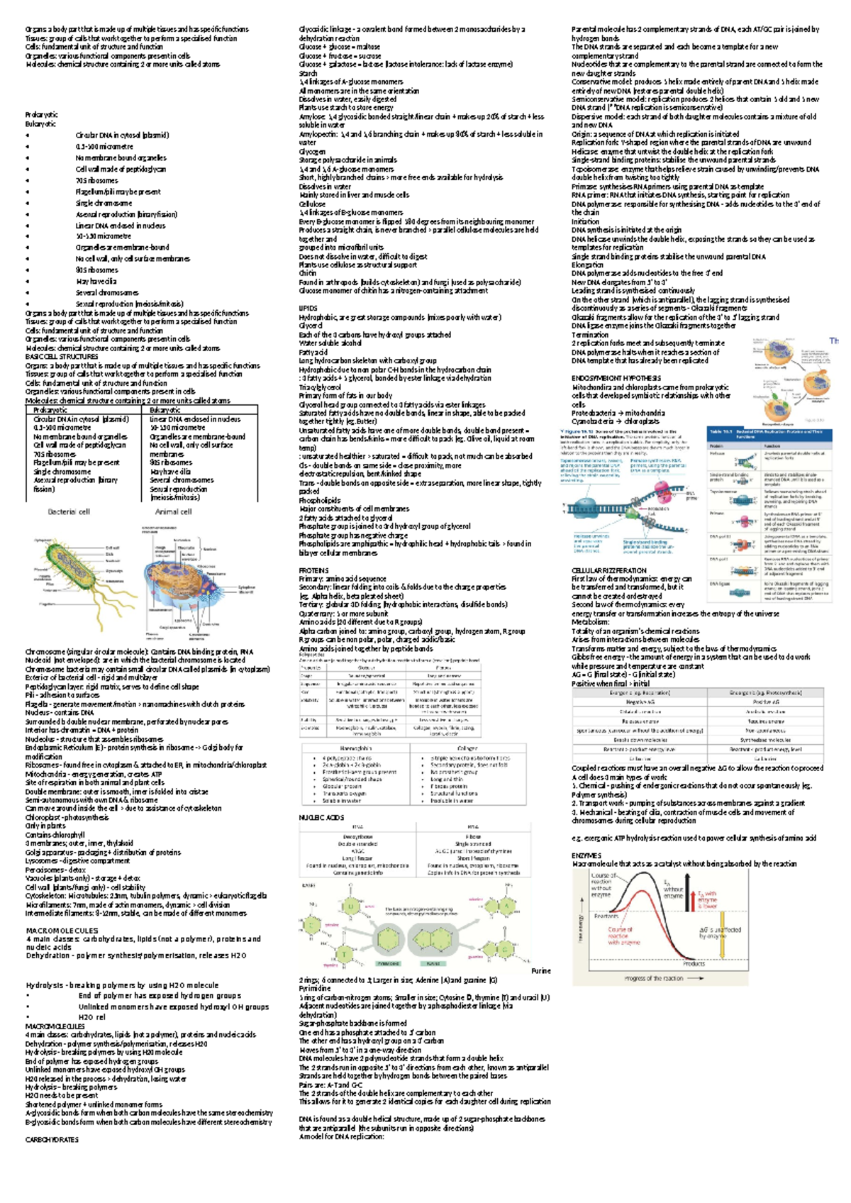 Biol1020 midsem note sheet - Organs: a body part that is made up of ...