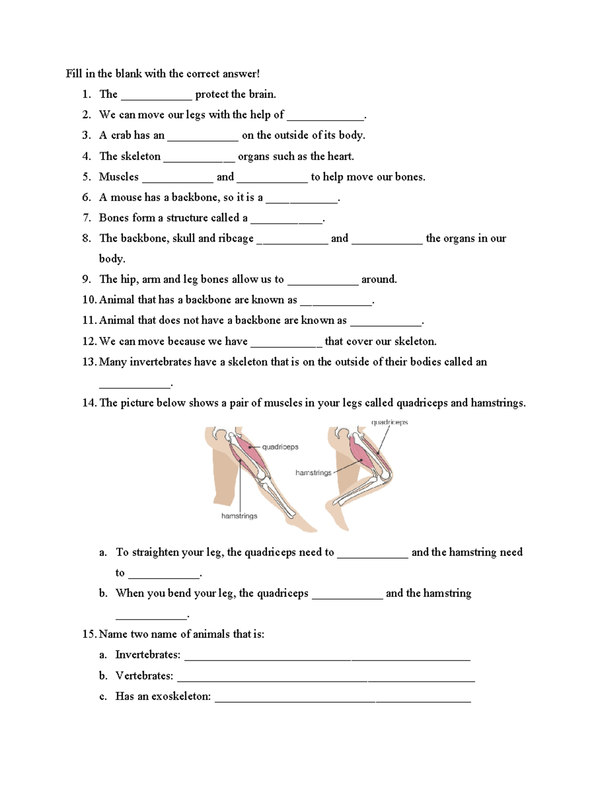 Bone and Skeleton P4 - Science Fill-in-the-Blank Notes - Studocu
