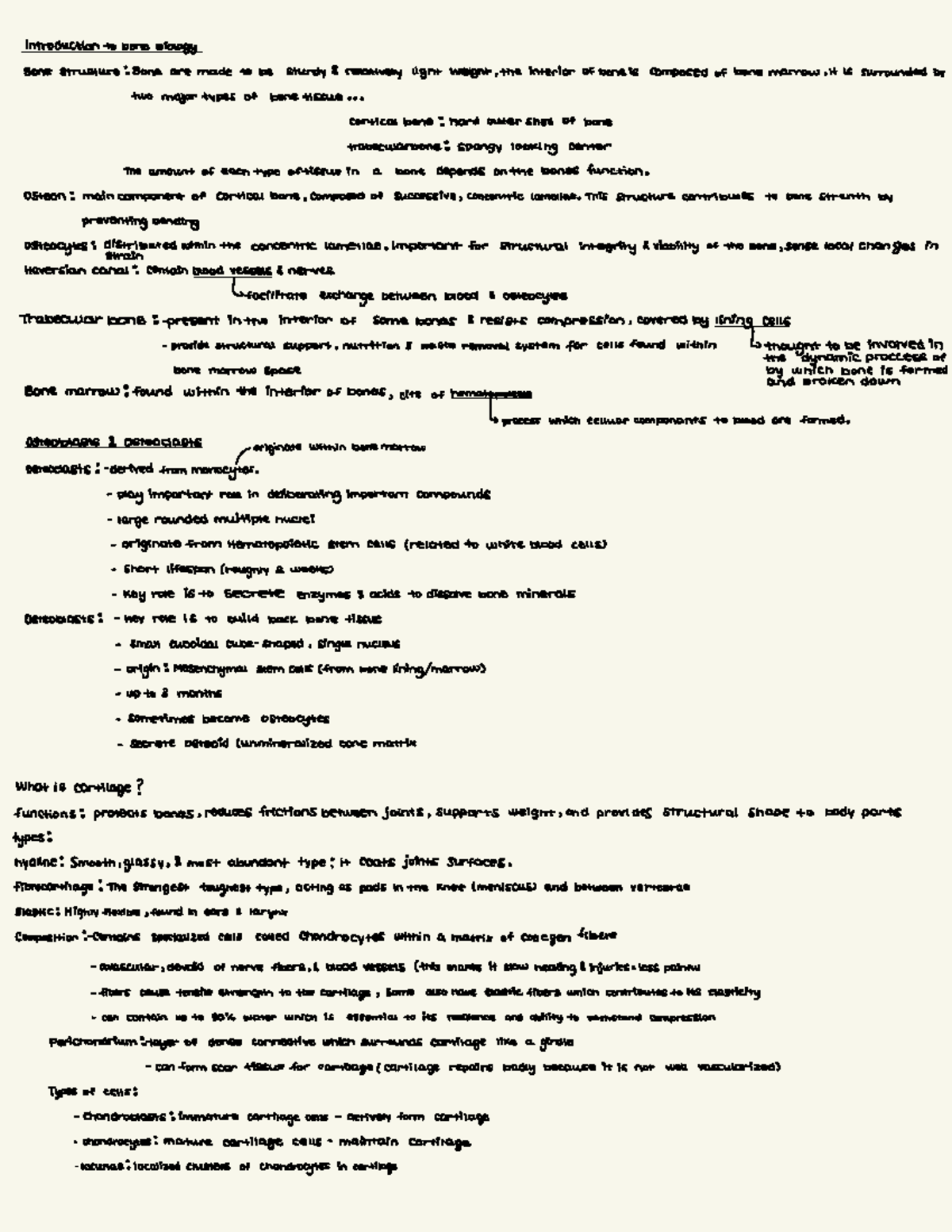ANP 1106 - Lecture Notes on Bone Structure and Cartilage Types - Studocu