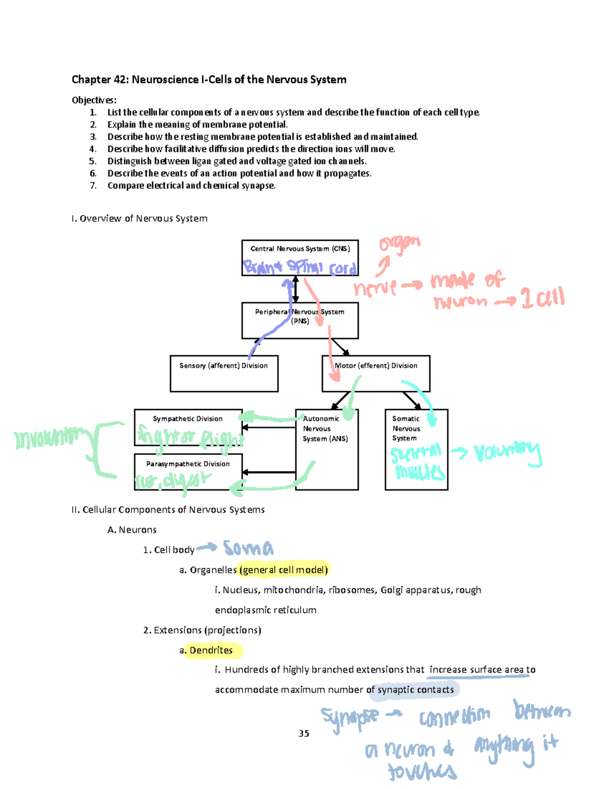 Chapter 42- Cells of the Nervous System - 35 Chapter 42: Neuroscience I ...